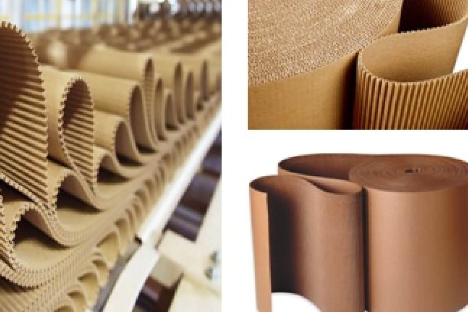 Kertas Corrugated Digital Printing 