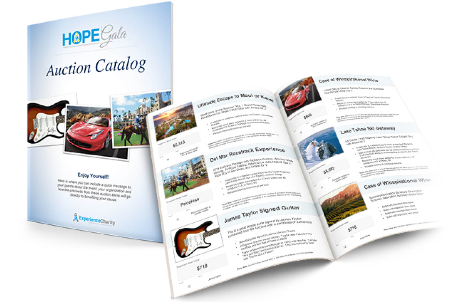 3. Booklet Untuk Promosi Dan Iklan Produk