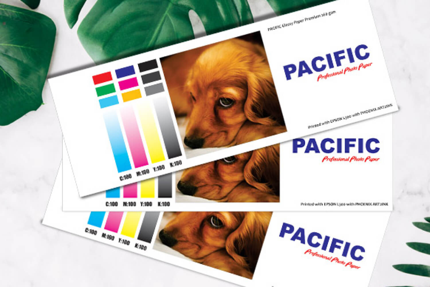 Glossy Foto Paper